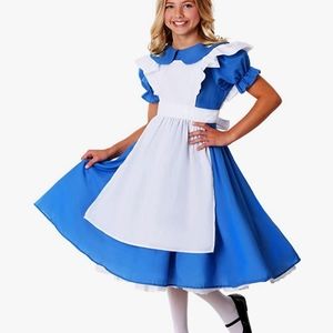 Adult Small Alice in Wonderland Costume
